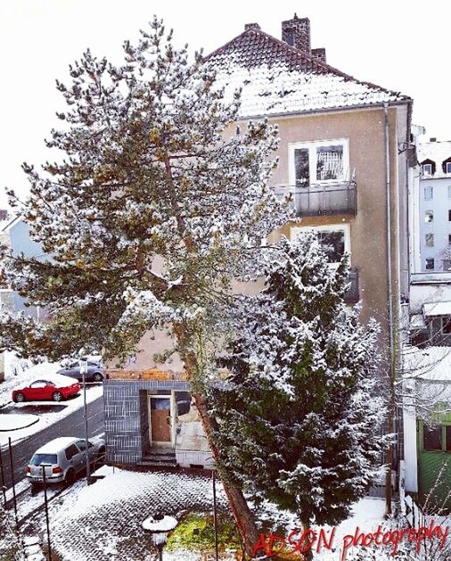 TREES AND HOUSES AGAINST SKY DURING WINTER