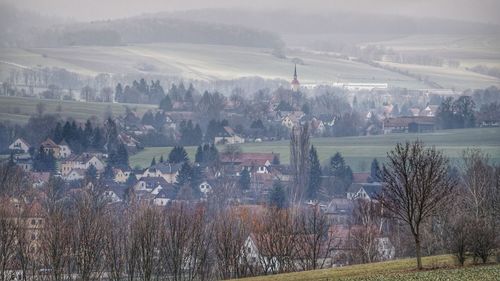 Panoramic shot of trees and buildings against sky