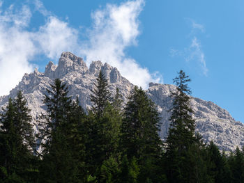 Low angle view of trees and rocks against sky