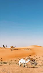 Scenic view of desert against clear blue sky