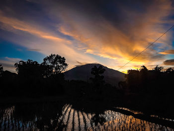 Silhouette trees by lake against sky during sunset