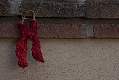 Close-up of red hanging against wall