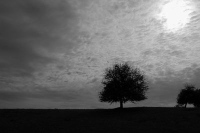 Silhouette tree on field against sky
