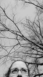 Close-up of bare tree against sky