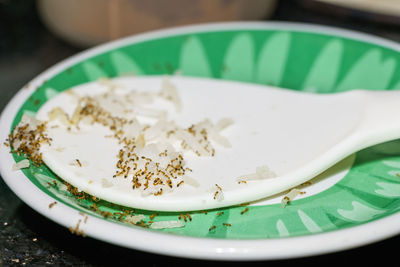 Close-up of breakfast served on table