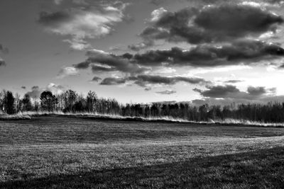 Scenic view of field against sky