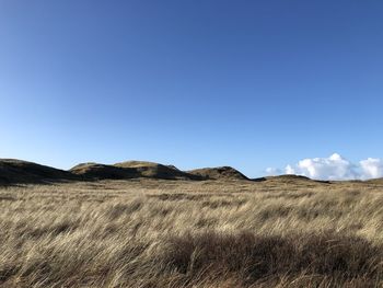 Scenic view of field against clear sky