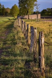 Wooden fence on field by trees against sky