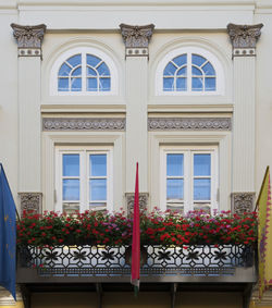 Close-up of window of house