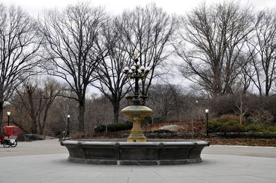 Bare trees on snow covered landscape in city