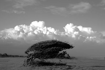 Scenic view of sea against cloudy sky