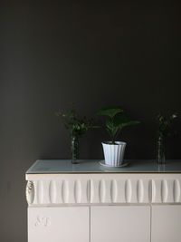 plant