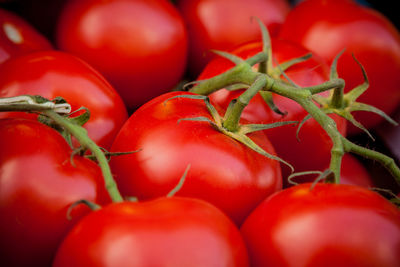 Full frame shot of tomatoes