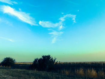 Scenic view of field against blue sky