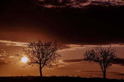 Silhouette trees on field against sky during sunset