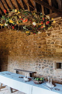 Potted plant on table against building