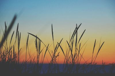 Scenic view of landscape against sky at sunset