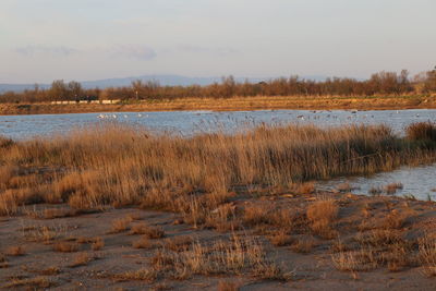 Scenic view of lake against sky