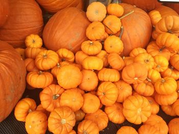 High angle view of pumpkins for sale at market stall