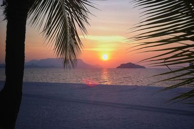 Scenic view of beach during sunset