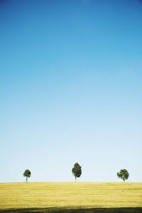 Scenic view of field against clear sky