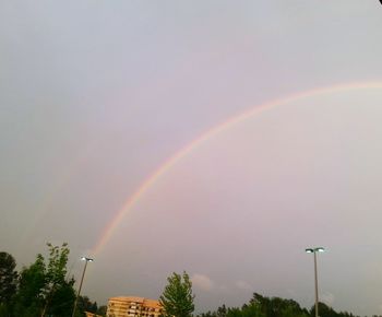 Low angle view of rainbow over trees