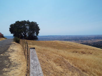 Scenic view of field against clear sky