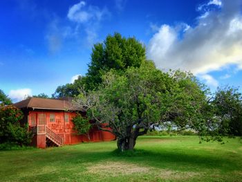 Trees on grassy field against cloudy sky