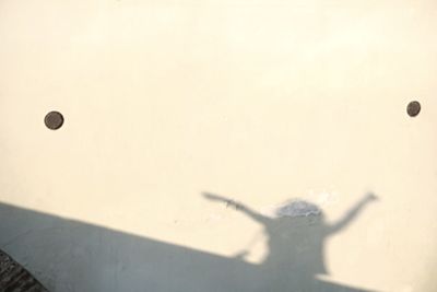 Close-up of shadow on leaf