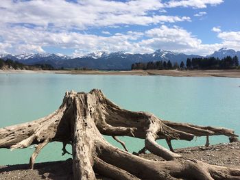 Tree stump by lake against cloudy sky