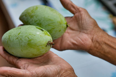 Close-up of hand holding fruit