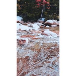 River flowing through rocks