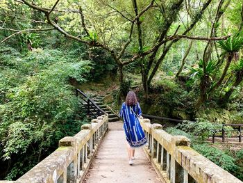 Rear view of woman walking on footbridge in forest