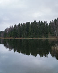 Reflection of trees in lake against sky