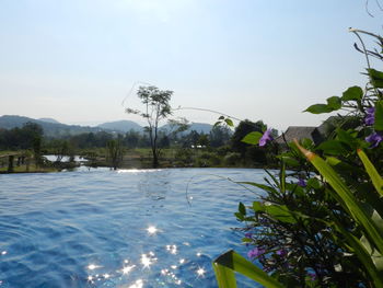 Scenic view of swimming pool against clear sky