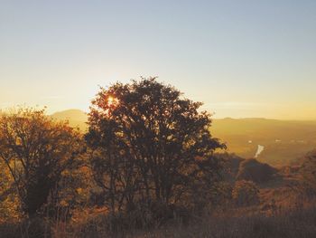 Scenic view of landscape at sunset