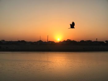 Silhouette bird flying over lake against sky during sunset