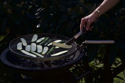 Close-up of hand holding food