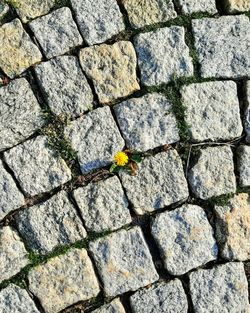 High angle view of cobblestone street