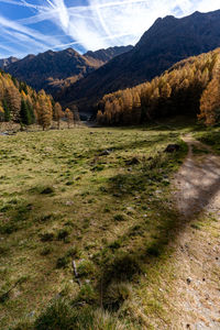 Scenic view of landscape against sky