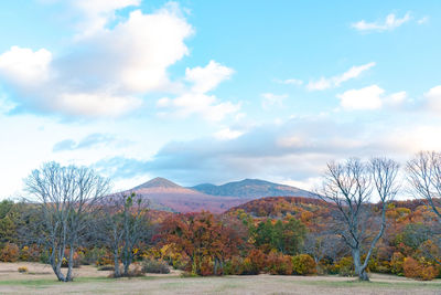 Scenic view of landscape against sky during autumn