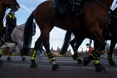 Group of people riding horses