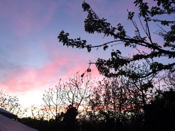 Low angle view of silhouette tree against sky