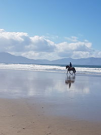 Distant view of person riding horse at beach against blue sky