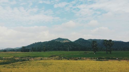 Scenic view of field against cloudy sky