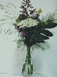 Close-up of plants against wall