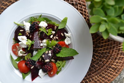 Close-up of salad in plate