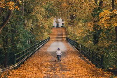 Rear view of boy riding bicycle on bridge amidst autumn trees