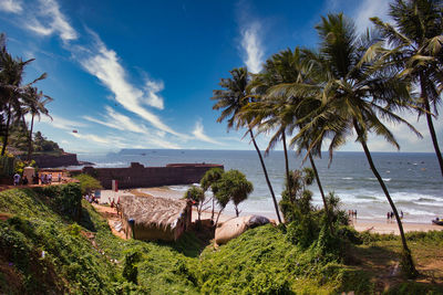 Palm trees on beach against sky