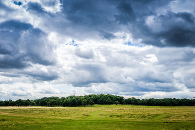 Scenic view of agricultural field against sky